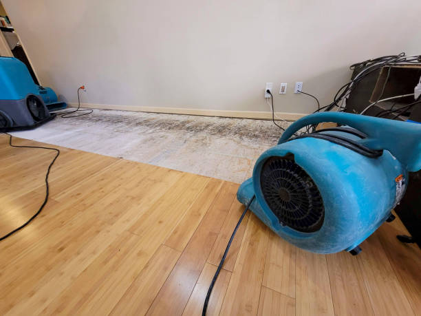 Professional Sewage Cleanup technician working in Sierra Madre, CA